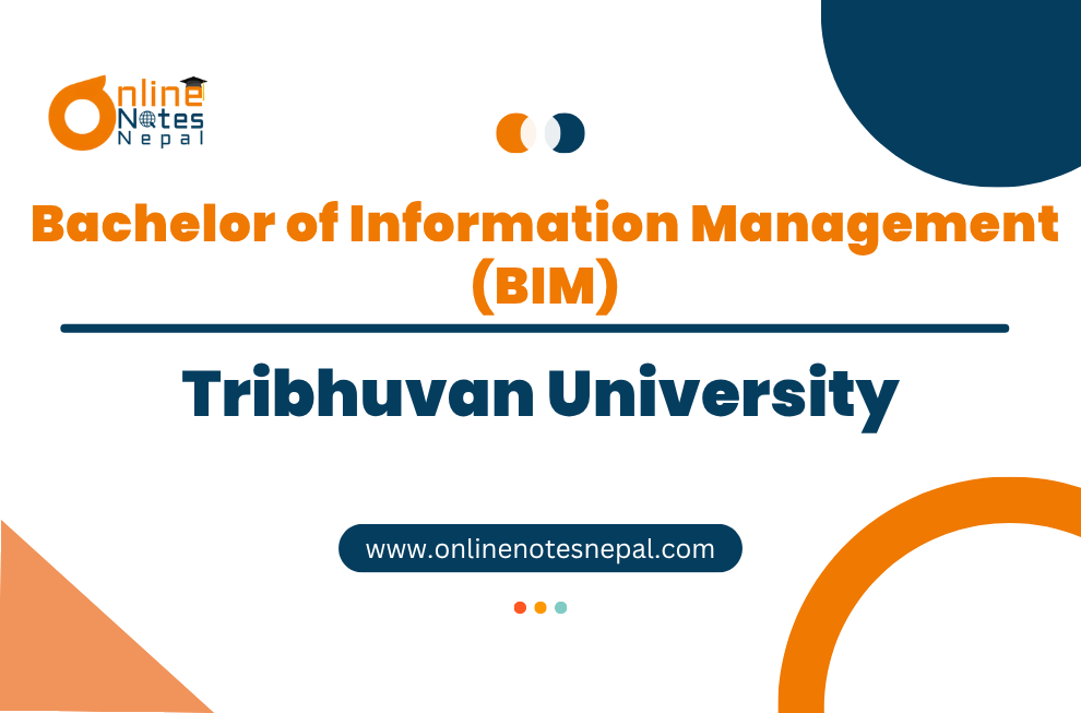Bachelor of Information Management (BIM)
